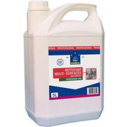 Nettoyant Multisurfaces Bactéricide au Pin Horeca 5 L