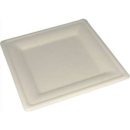 50 Assiettes Biodégradables Carrées 20 CM