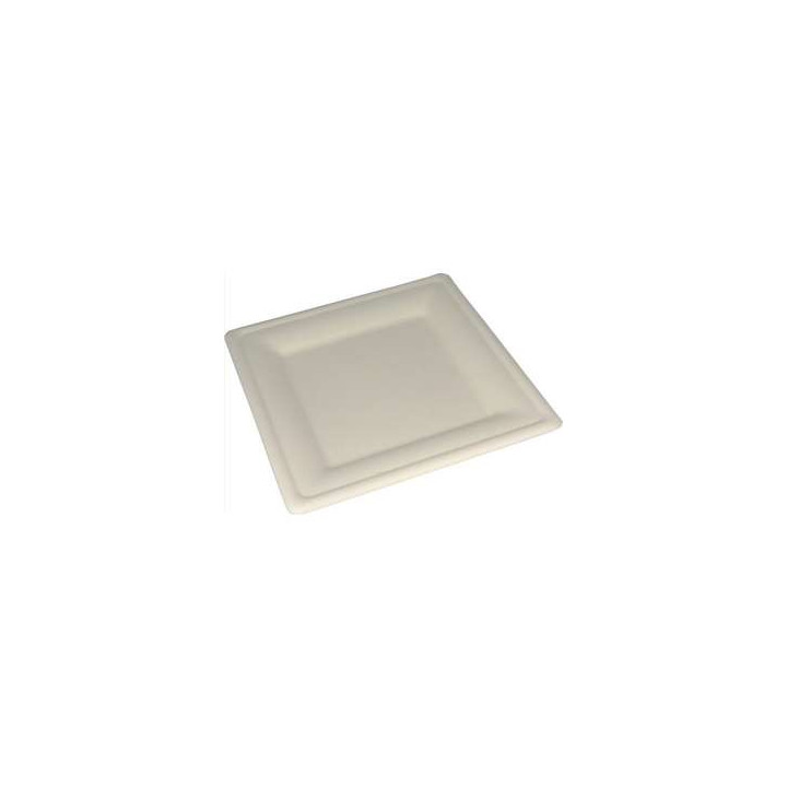 50 Assiettes Biodégradables Carrées 20 CM