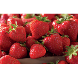Barquette de Fraise Catégorie I Pays-Bas 500 G - Livraison de fruits au bureau
