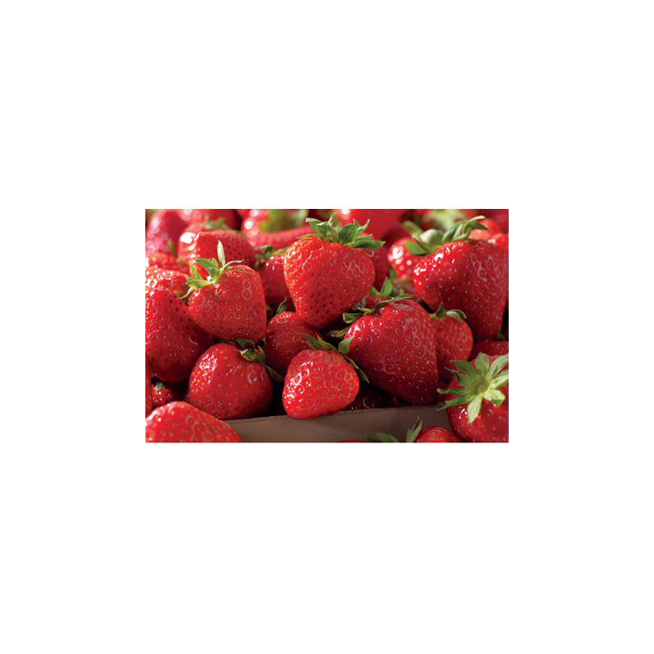 Barquette de Fraise Catégorie I Pays-Bas 500 G - Livraison de fruits au bureau
