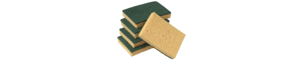 Eponges