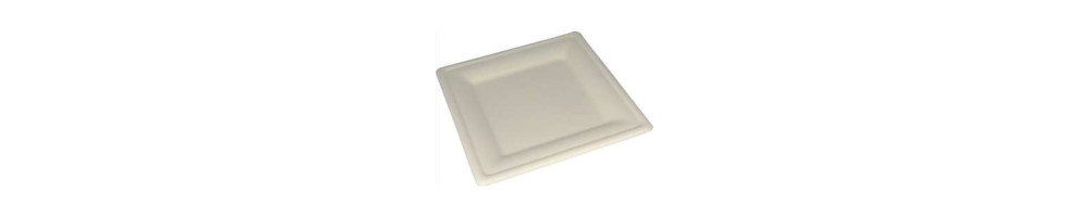 Assiette Jetable